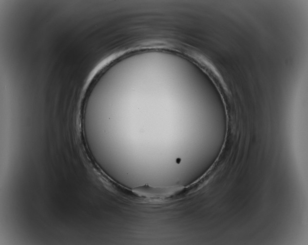X0000083021328200703021954