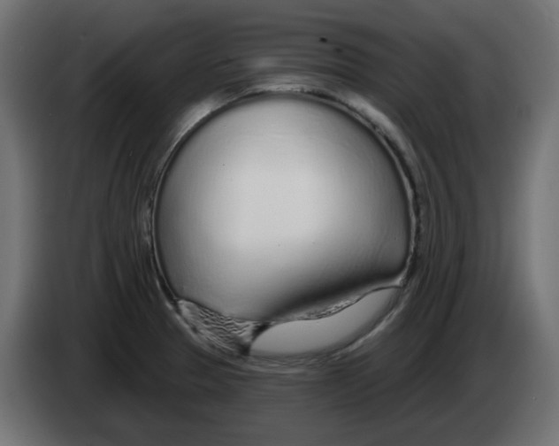 X0000083021329200703021954