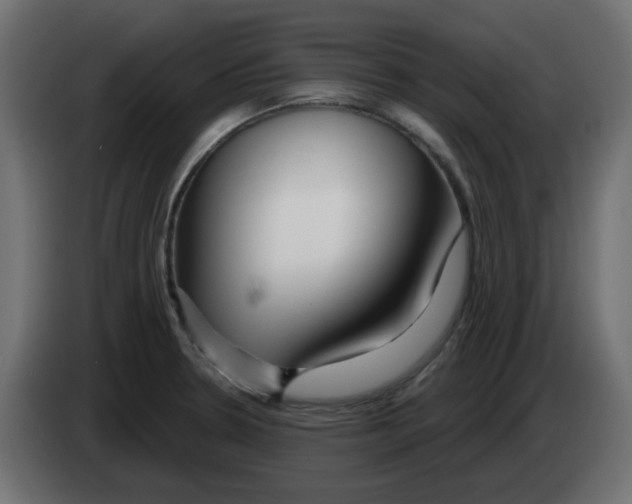 X0000083021330200703021954