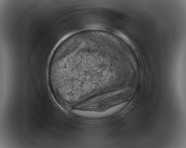 X0000083021331200703021954