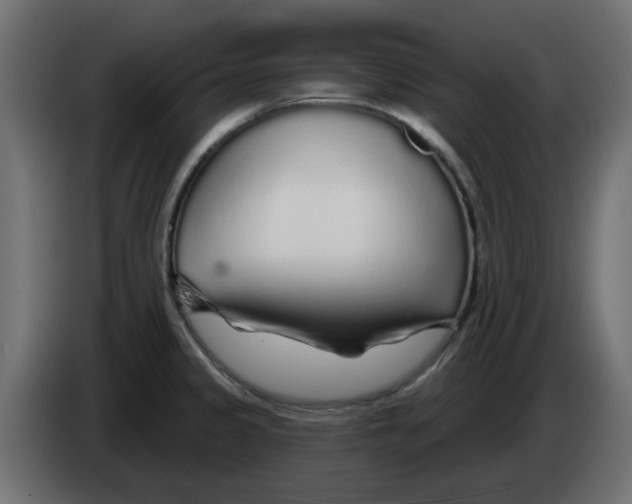 X0000083021333200703021954