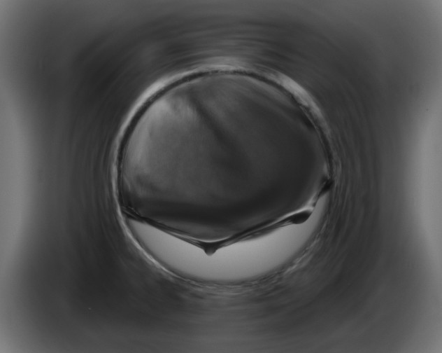 X0000083021334200703021954