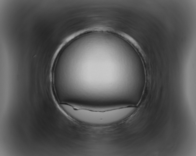 X0000083021335200703021954