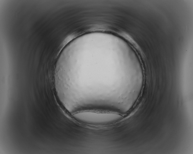 X0000083021337200703021954