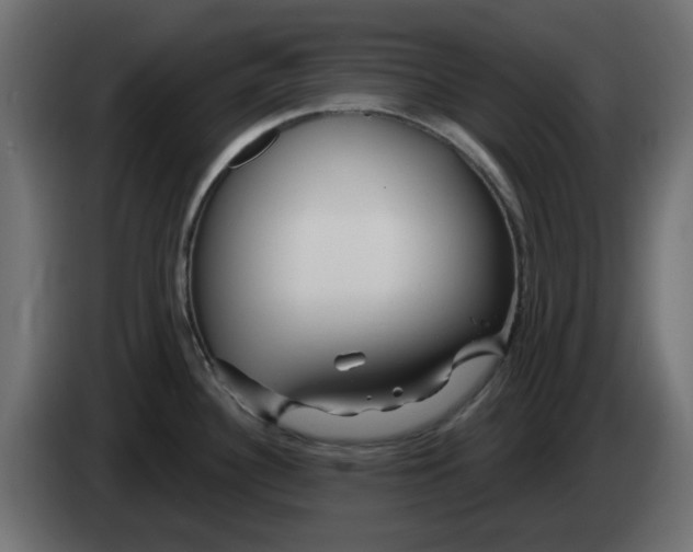 X0000083021340200703021954