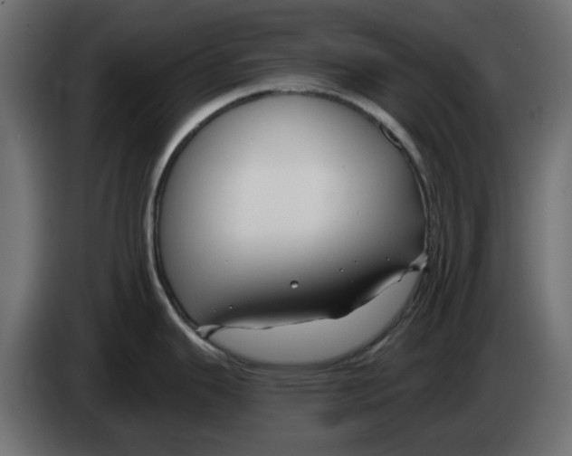 X0000083021343200703021954