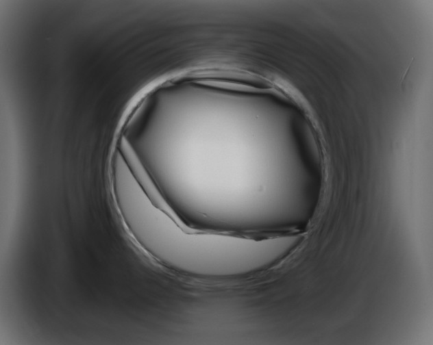 X0000083021344200703021954