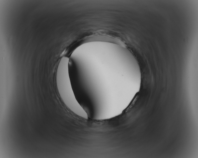 X0000083021345200703021953