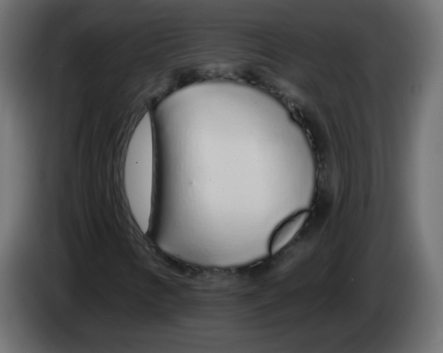 X0000083021346200703021953