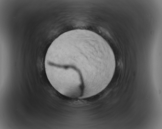 X0000083021348200703021953
