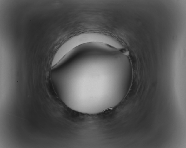 X0000083021349200703021953