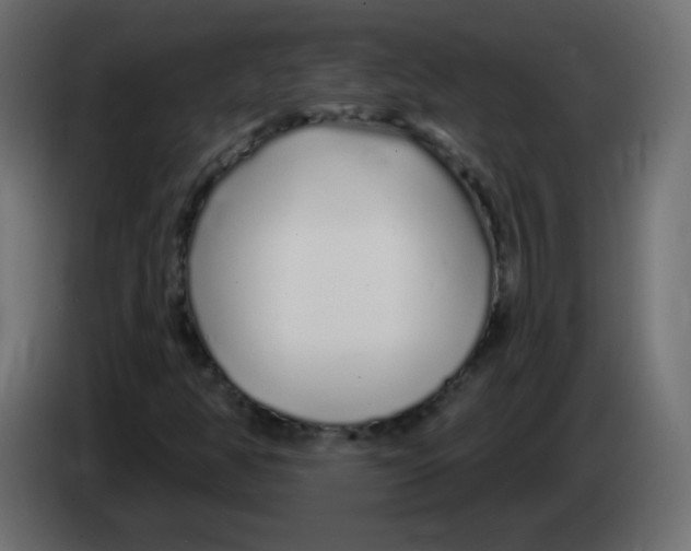 X0000083021350200703021953