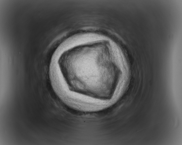 X0000083021351200703021953