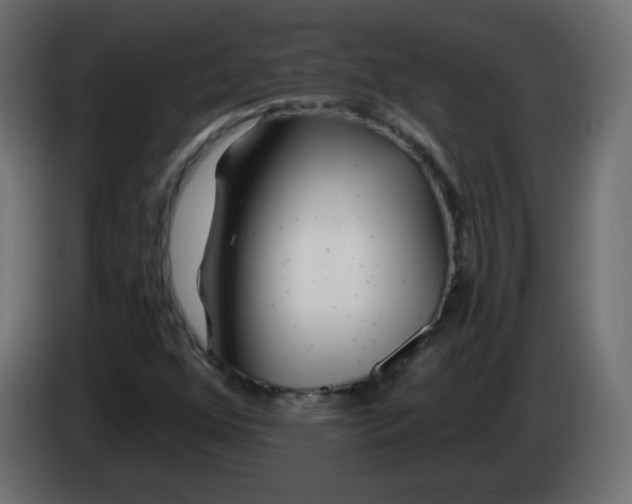 X0000083021352200703021953