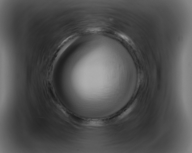 X0000083021353200703021953