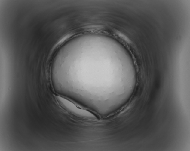 X0000083021354200703021953