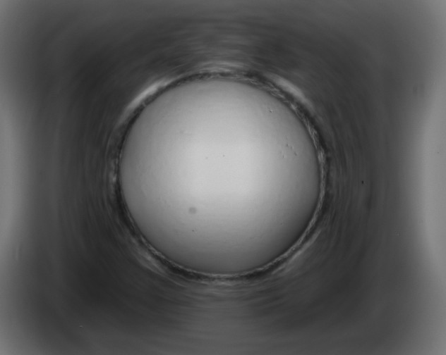 X0000083021355200703021953