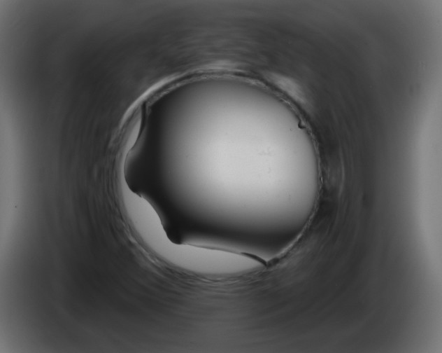 X0000083021356200703021953