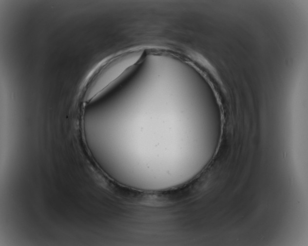 X0000083021360200703021953