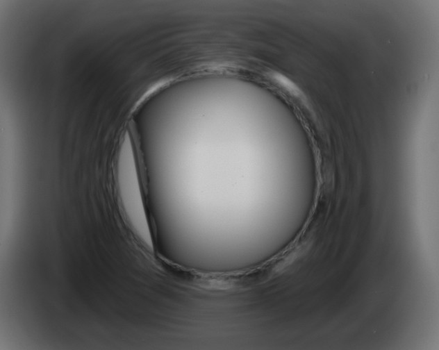 X0000083021361200703021953