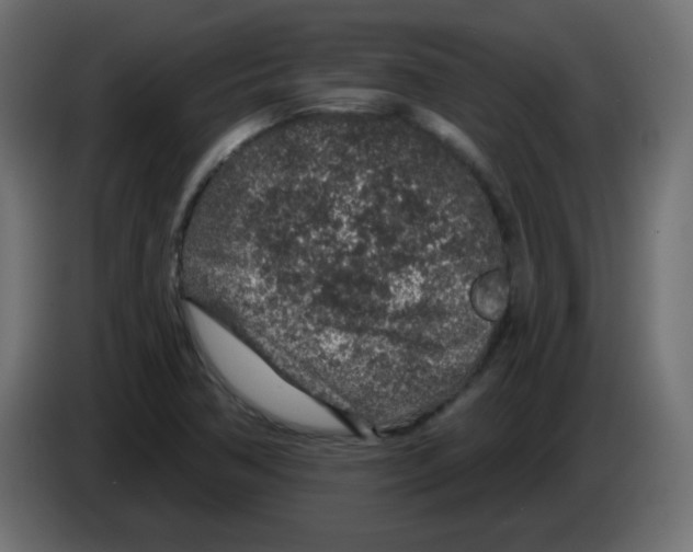 X0000083021362200703021953