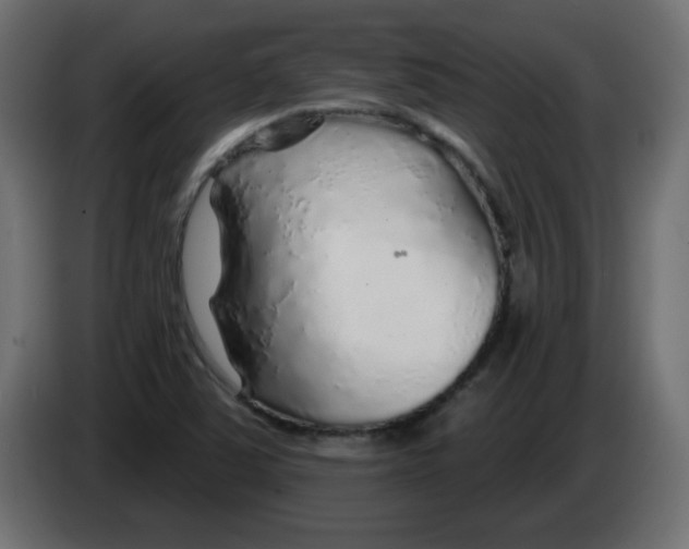X0000083021363200703021953