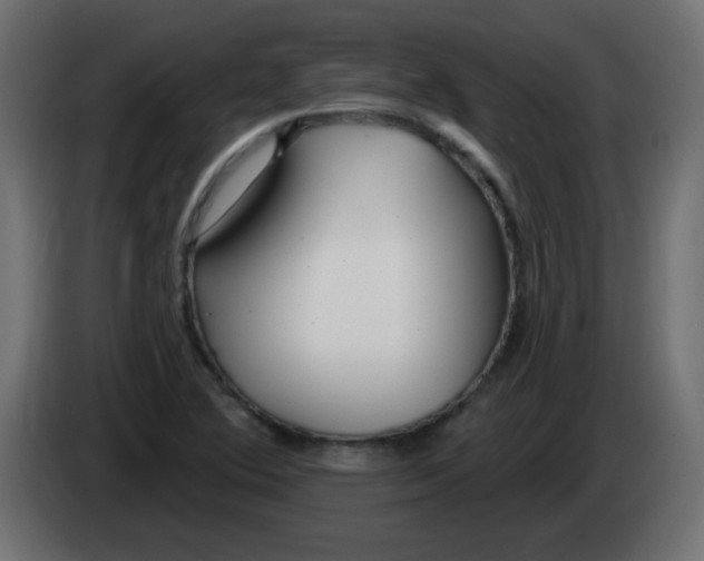 X0000083021364200703021953
