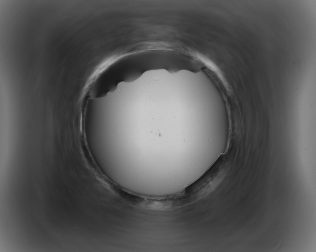 X0000083021365200703021953