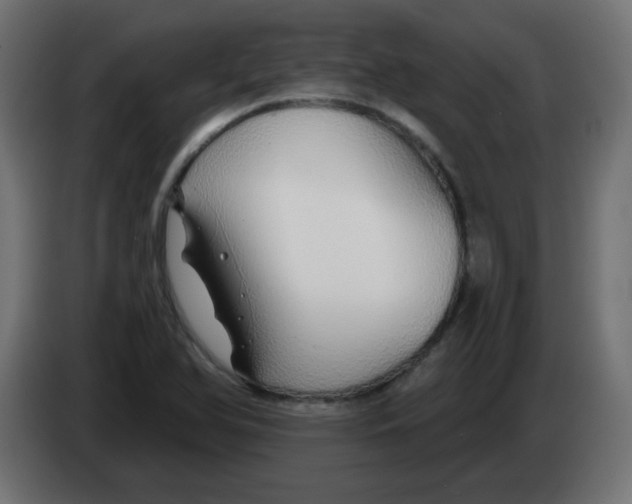 X0000083021366200703021953
