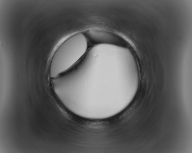 X0000083021367200703021953