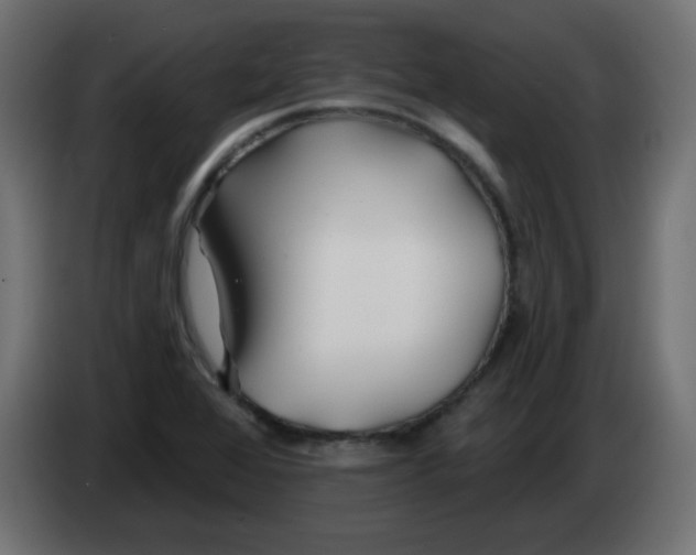 X0000083021368200703021953