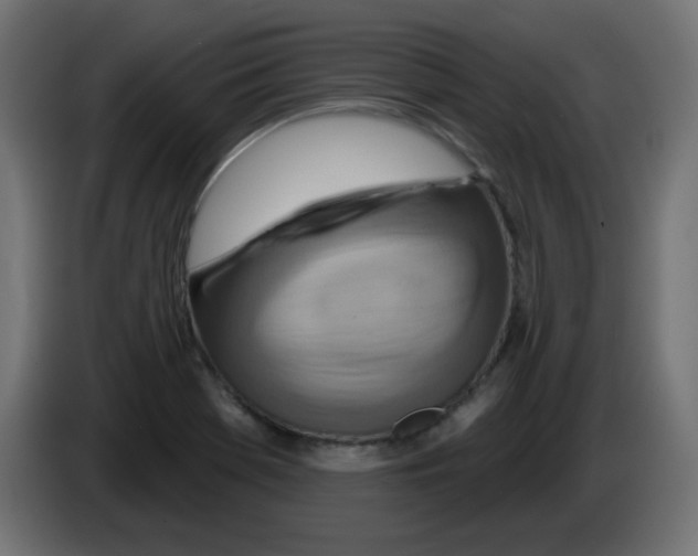 X0000083021369200703021953