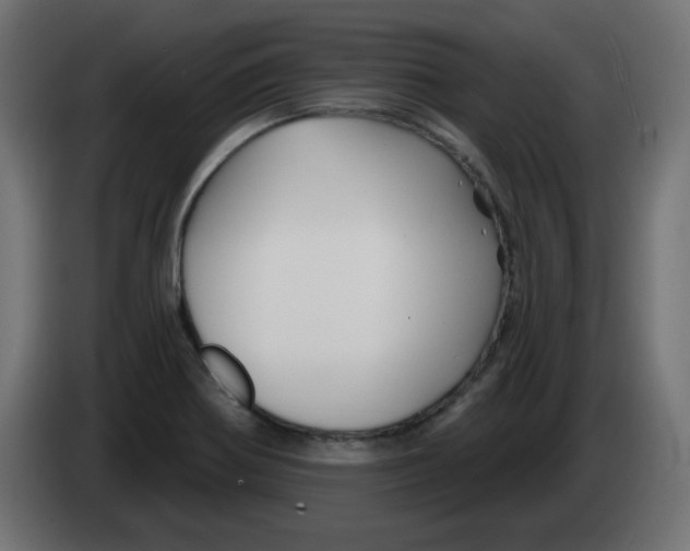 X0000083021370200703021953