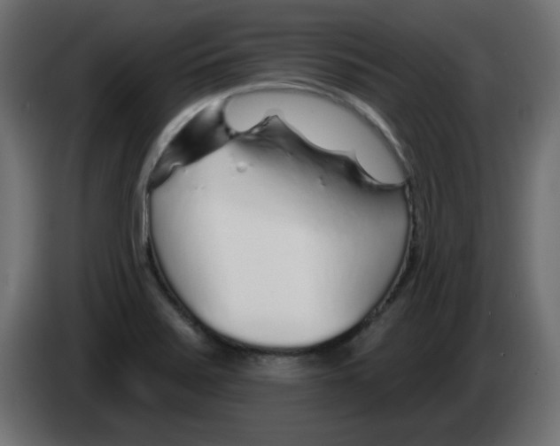 X0000083021371200703021953