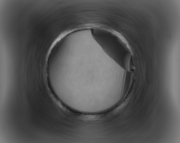 X0000083021373200703021953