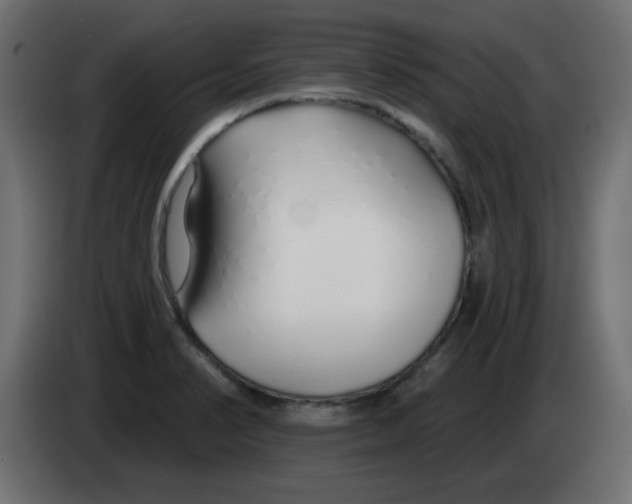 X0000083021374200703021953