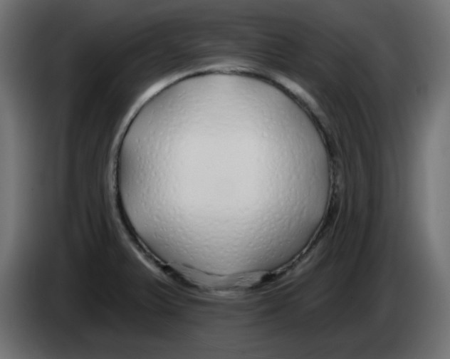 X0000083021375200703021953