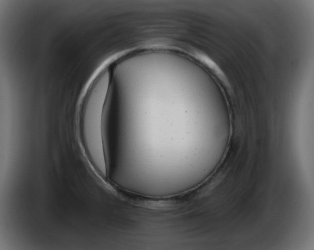 X0000083021376200703021953