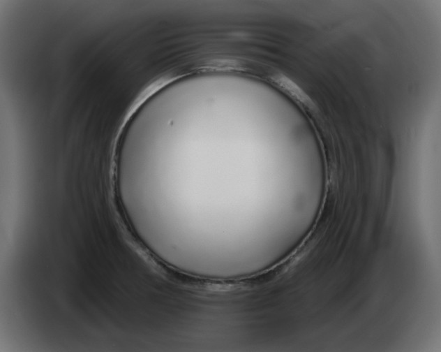 X0000083021378200703021953