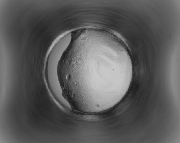 X0000083021379200703021953