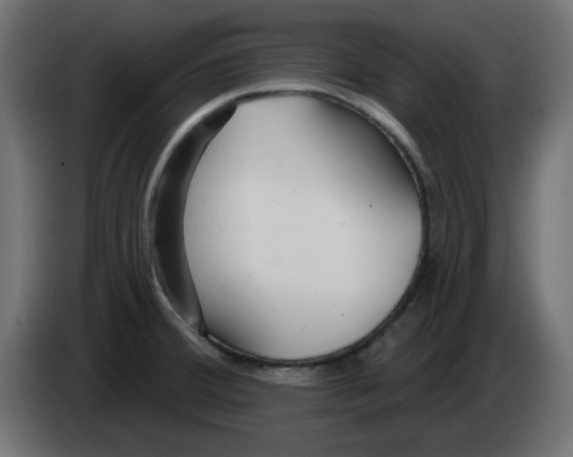 X0000083021380200703021953