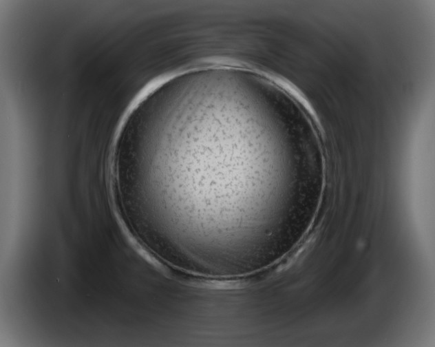 X0000083021381200703021953