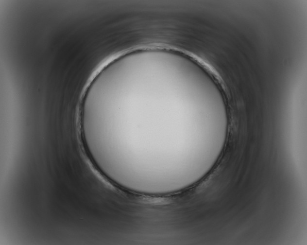 X0000083021382200703021953