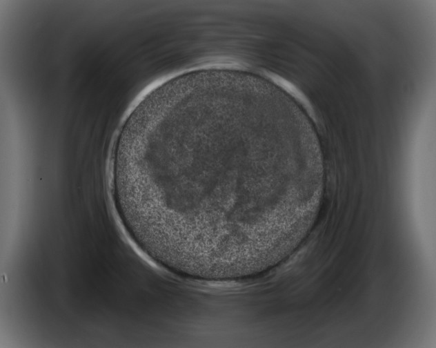 X0000083021383200703021953