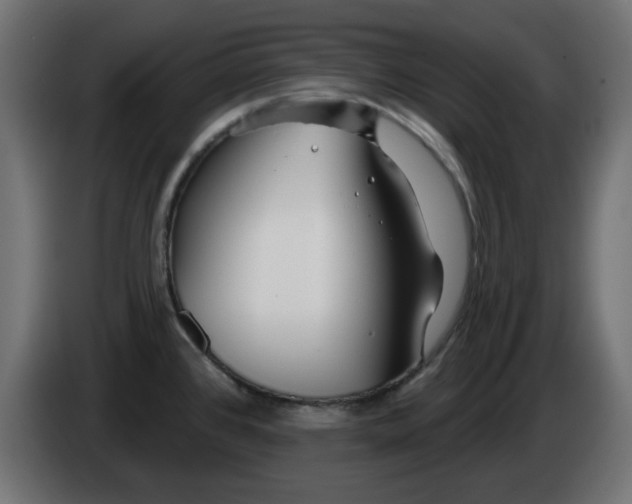 X0000083021384200703021953