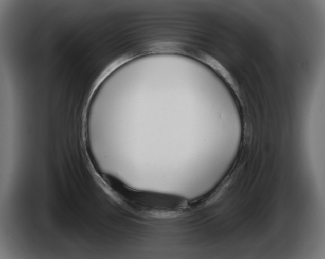 X0000083021386200703021953