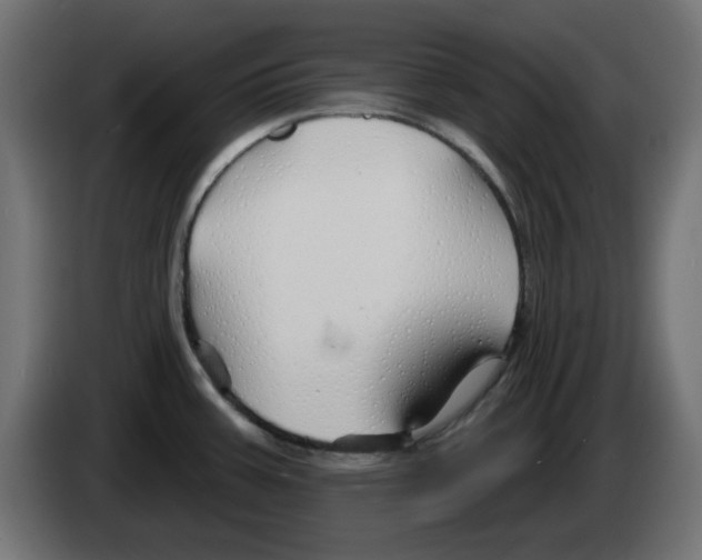 X0000083021387200703021953