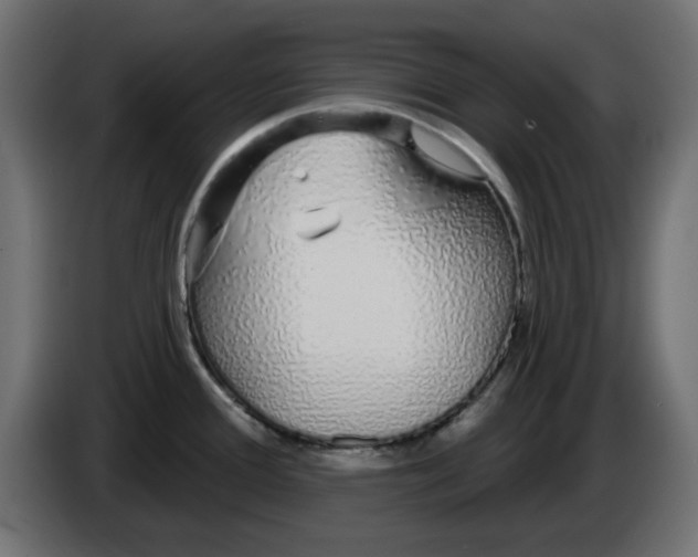 X0000083021388200703021953