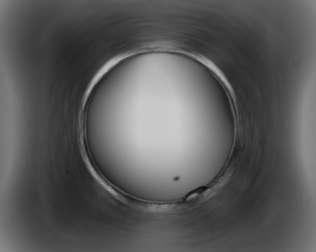 X0000083021389200703021953