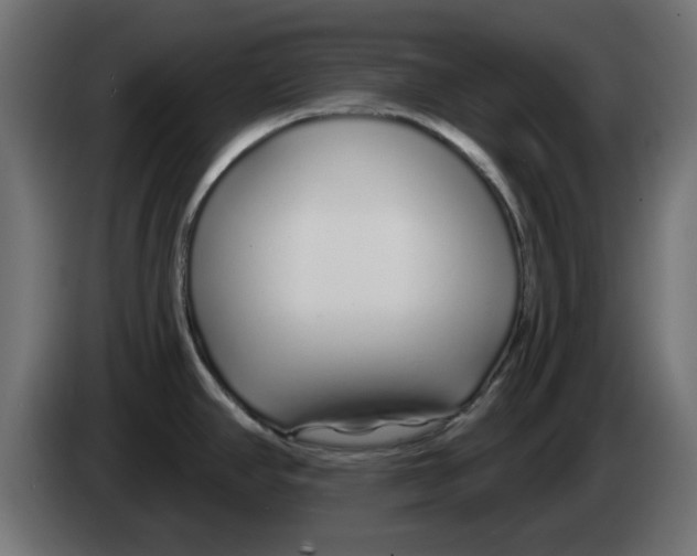 X0000083021390200703021953